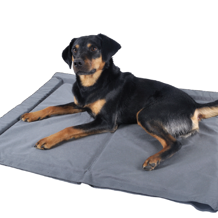 Pet Therapy Beds